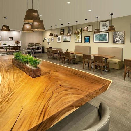 Отель Element Toronto Airport Миссиссага Экстерьер фото